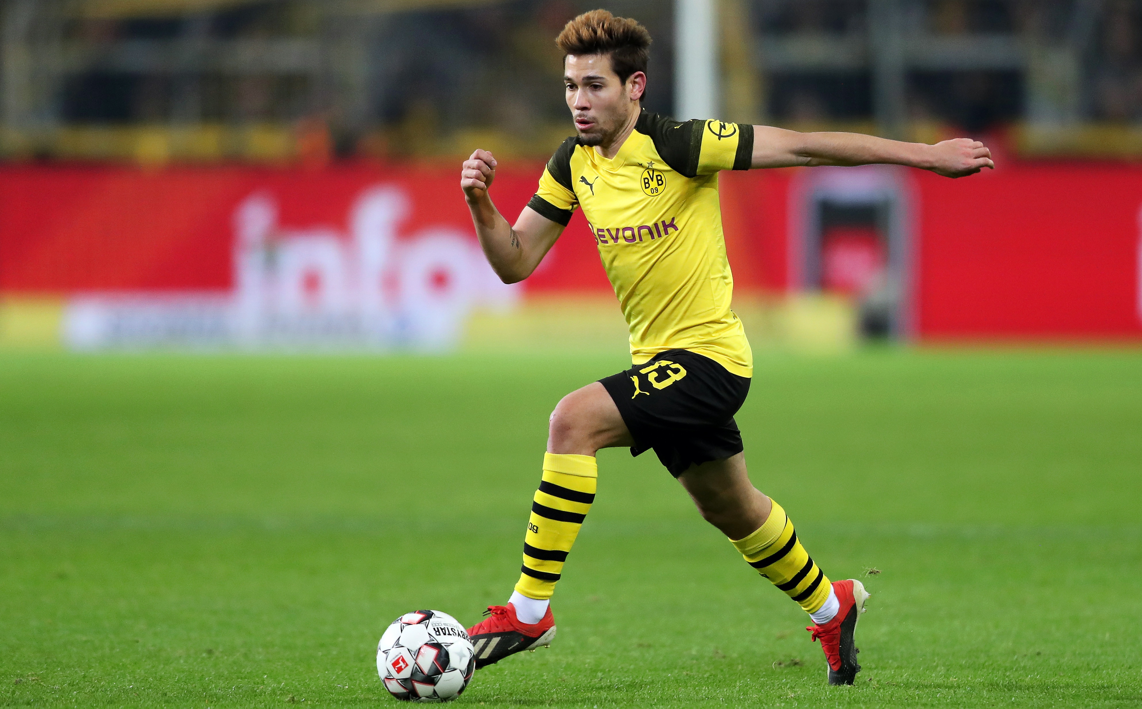 往往是众多 往往是众多