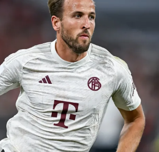 们夺冠的赛 们夺冠的赛